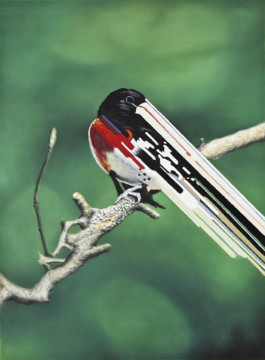 MAURIZIO BONGIOVANNI