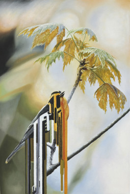 MAURIZIO BONGIOVANNI